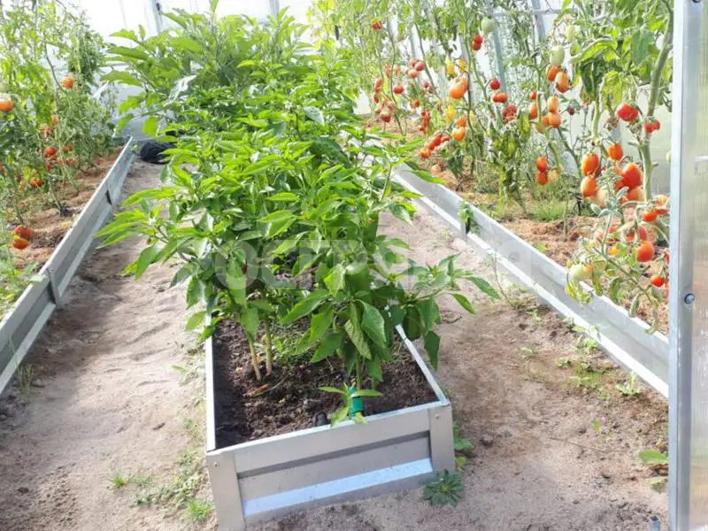 комплект-3-грядок-грядок-20-цинк Комплект 3 грядок в теплицу цинк. Высота борта 20 см